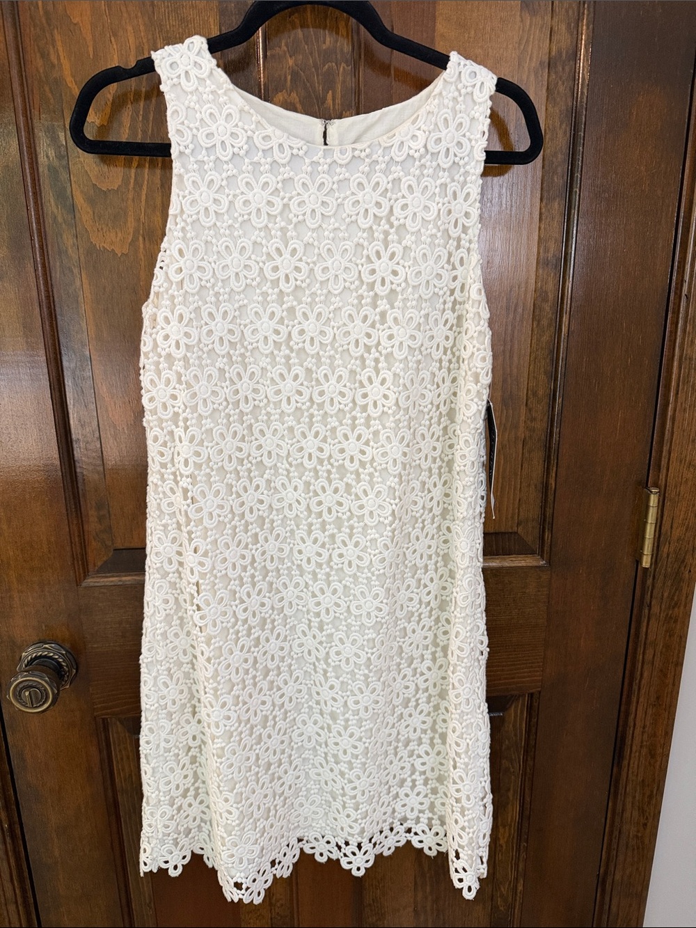 NWT J Crew Collection Floral Guipore Lace Shift Ivory Dress -Size 6